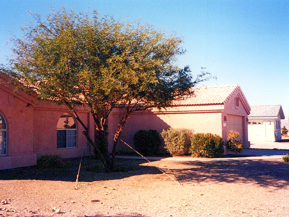 Front elevation of the Empress Drive residence, Lake Havasu City, Arizona