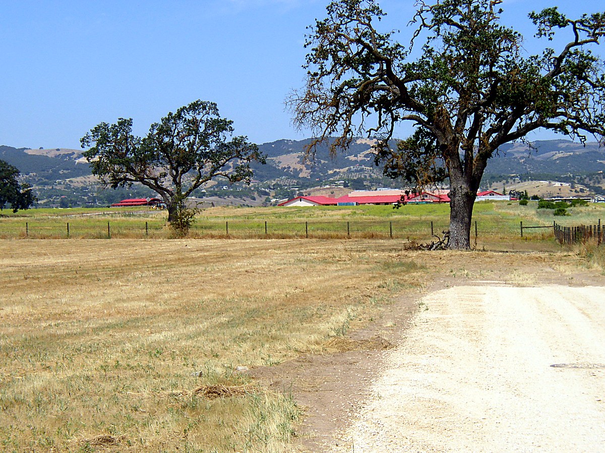 Graded lot and new drive at Wisteria Lane, Paso Robles